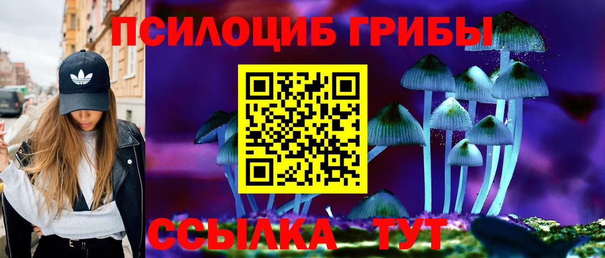Псилоцибиновые грибы Psilocybe Феодосия