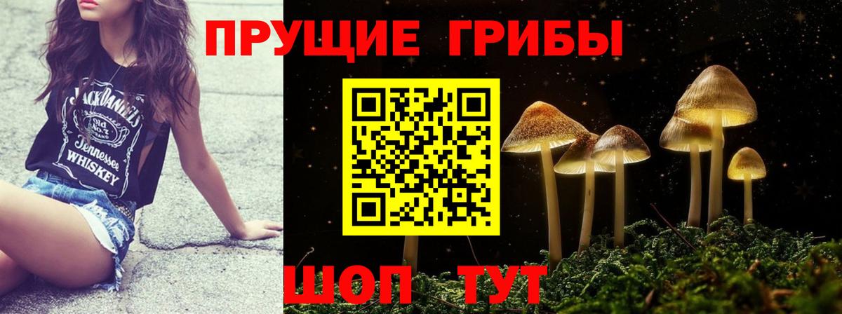 Псилоцибиновые грибы MAGIC MUSHROOMS  где найти   Феодосия  Вход с VPN 